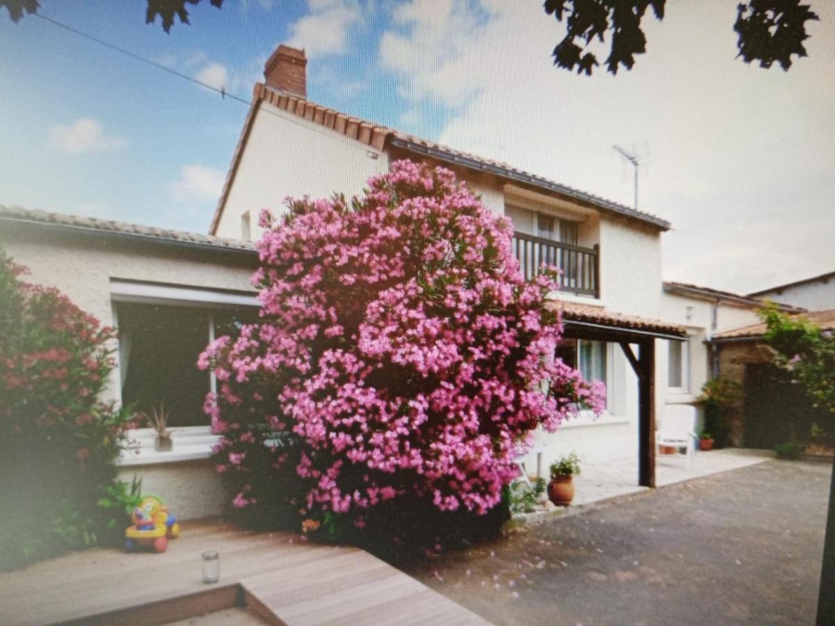 Chambres D'Hotes Vignes Et Loire Drain Exterior photo